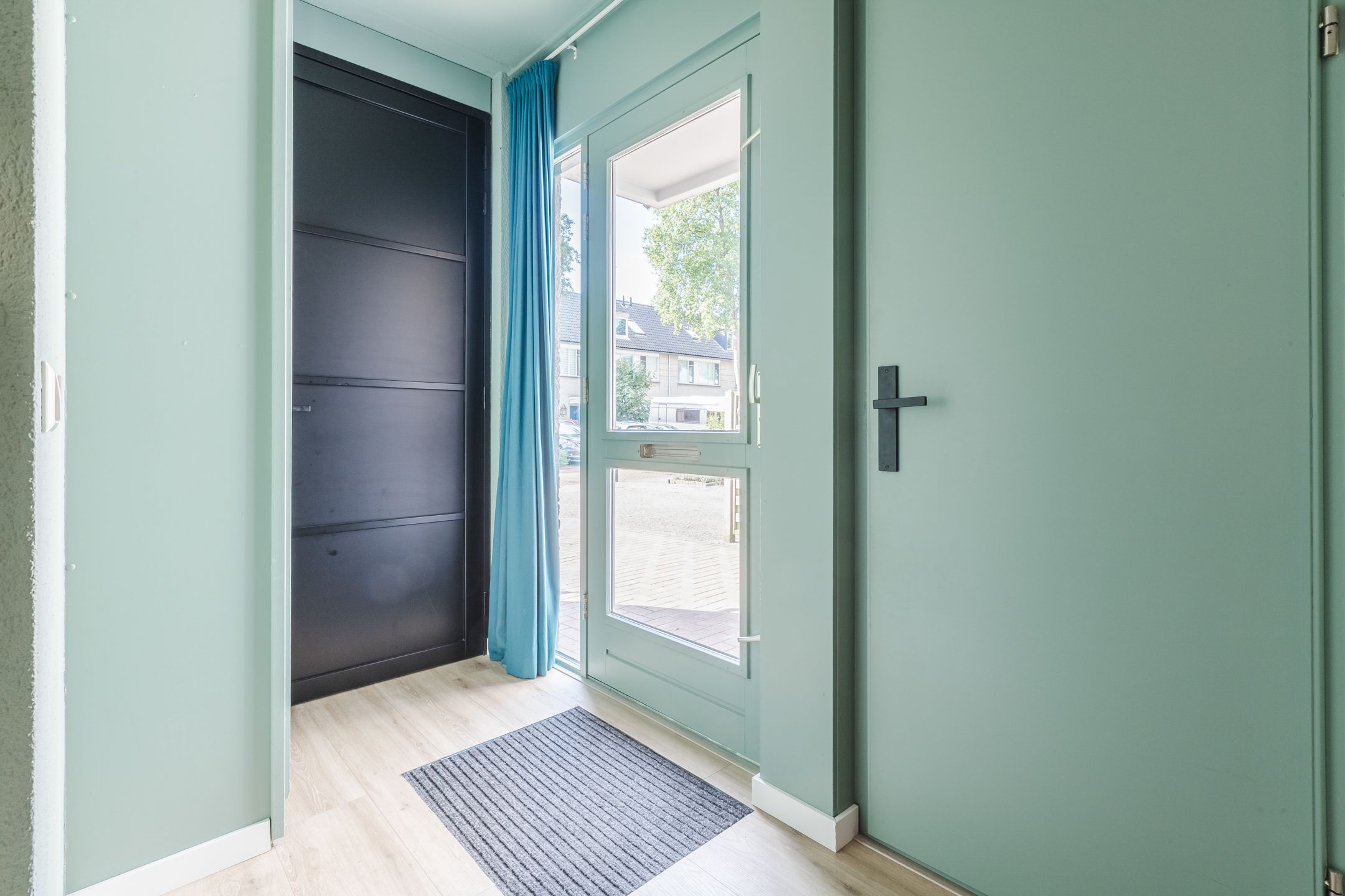 Photo 15 of Potvis 10