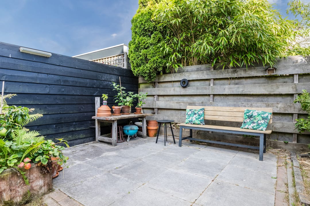 Photo 37 of Potvis 10