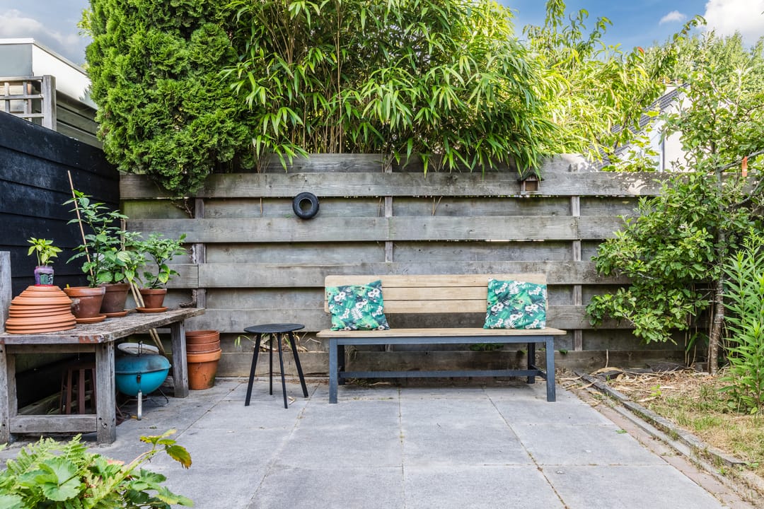 Photo 38 of Potvis 10