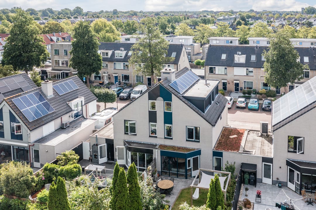 Photo 41 of Potvis 10