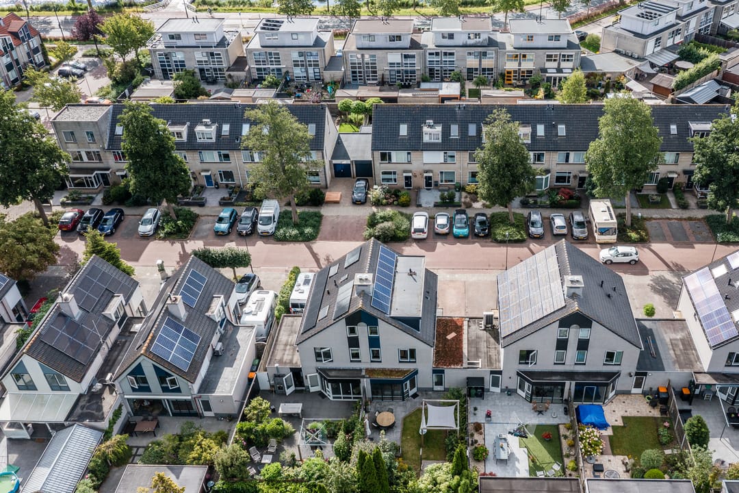 Photo 43 of Potvis 10