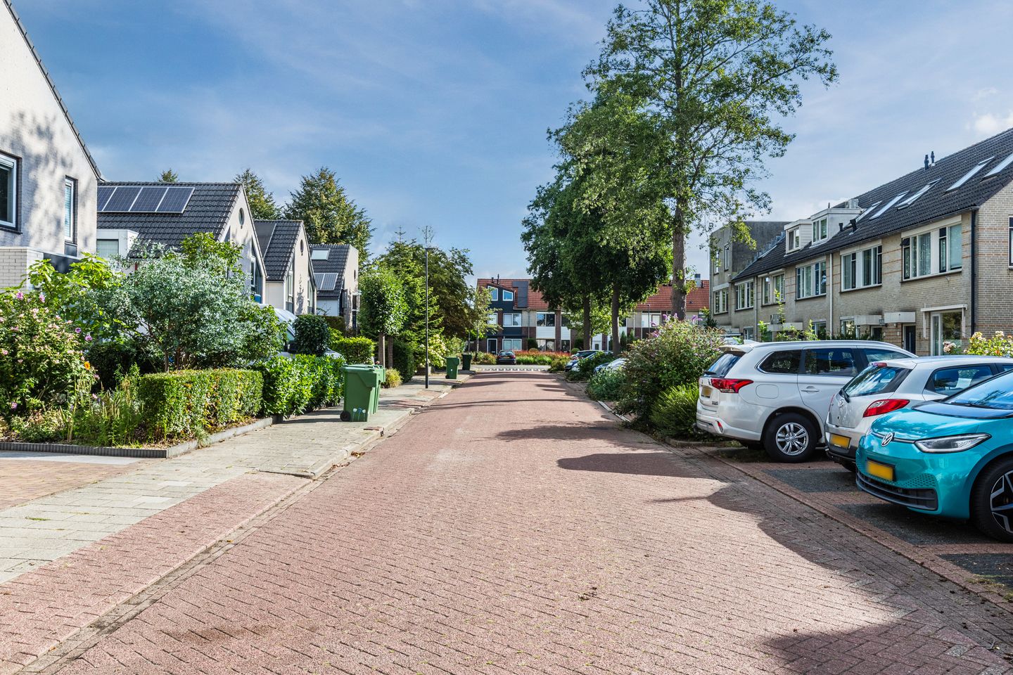 Photo 44 of Potvis 10