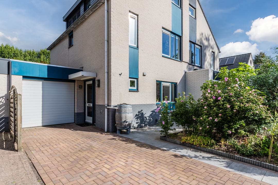 Photo 46 of Potvis 10