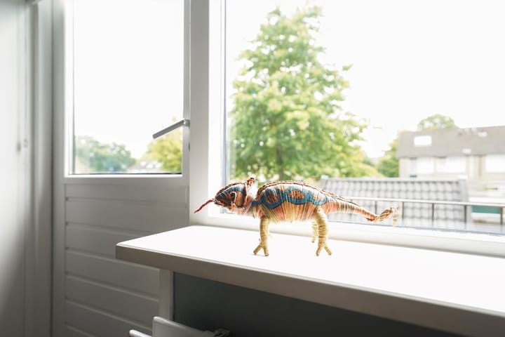 Foto 49 van De Steenkamp 61