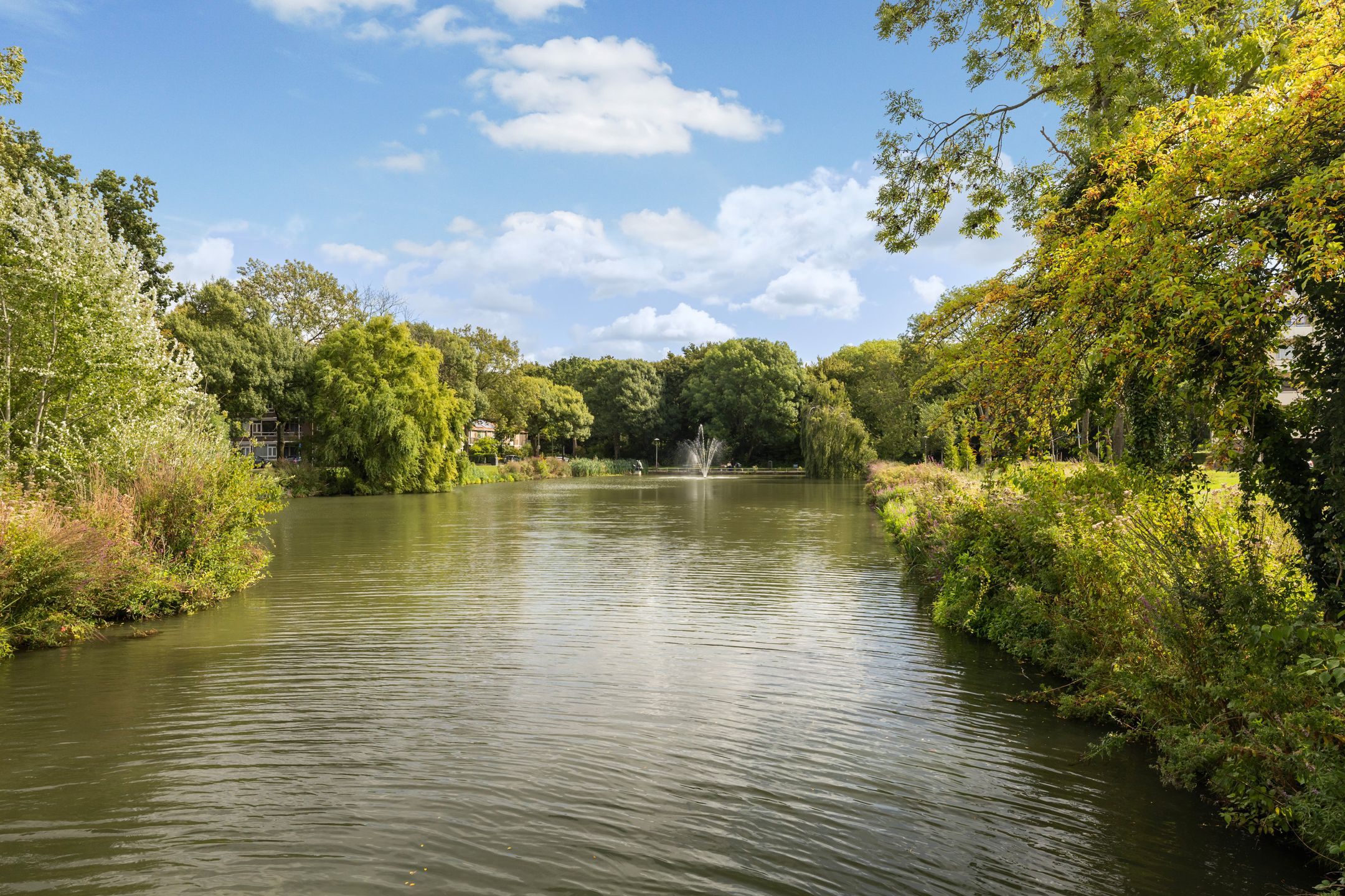 Foto 51 van W.A. Vultostraat 127