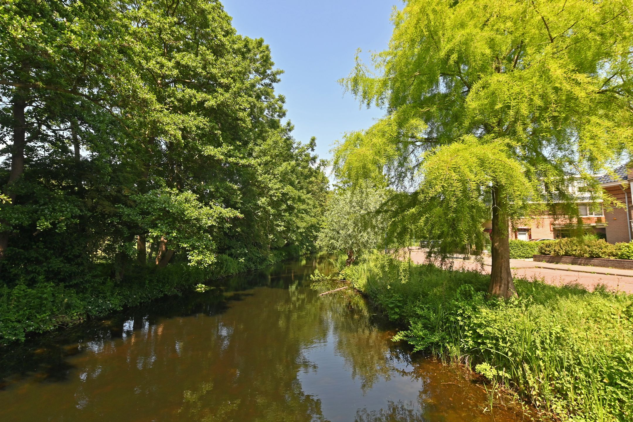 Foto 54 van IJsvogellaan 62