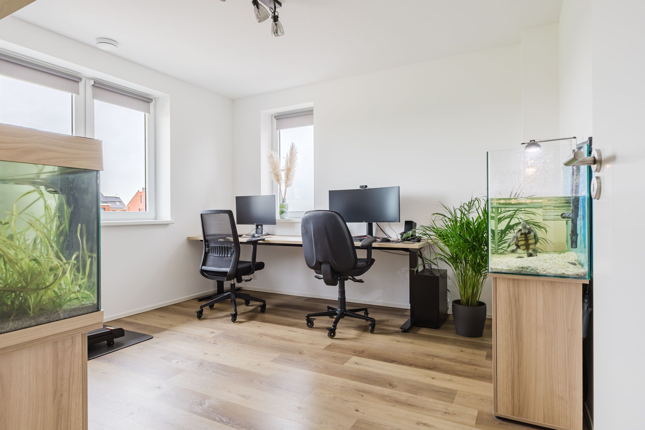 Foto 42 van Jikke Reinbergenstrjitte 4-A