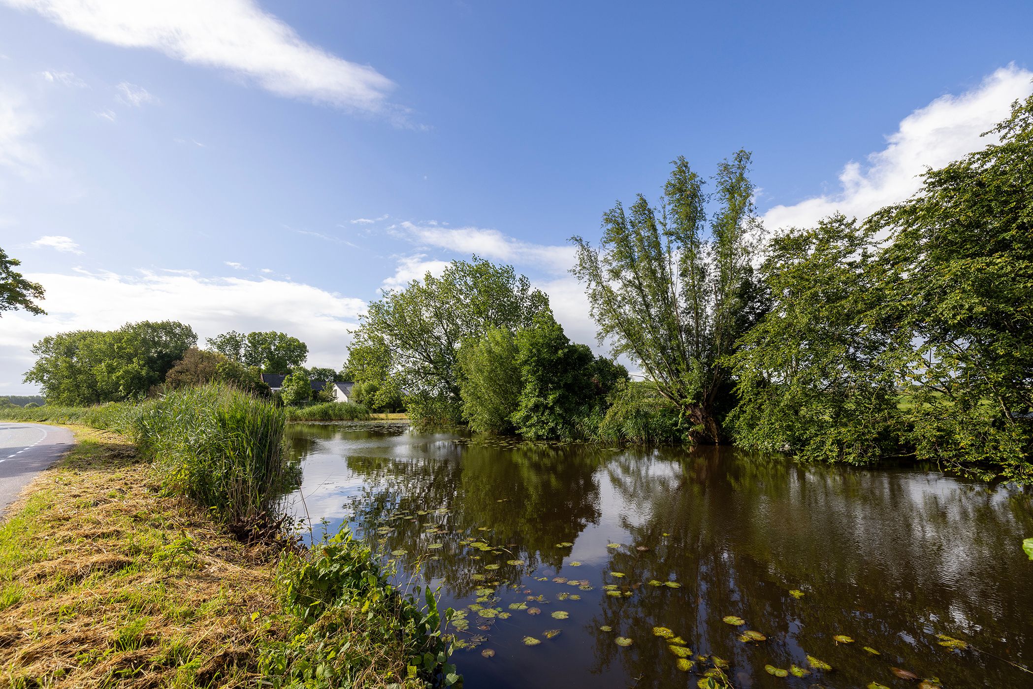 Foto 99 van Rijksstraatweg 97