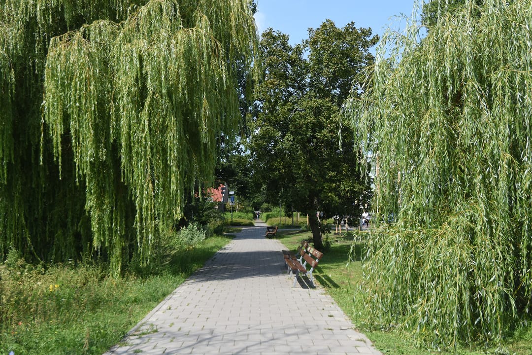 Foto 41 van Mozartlaan 23