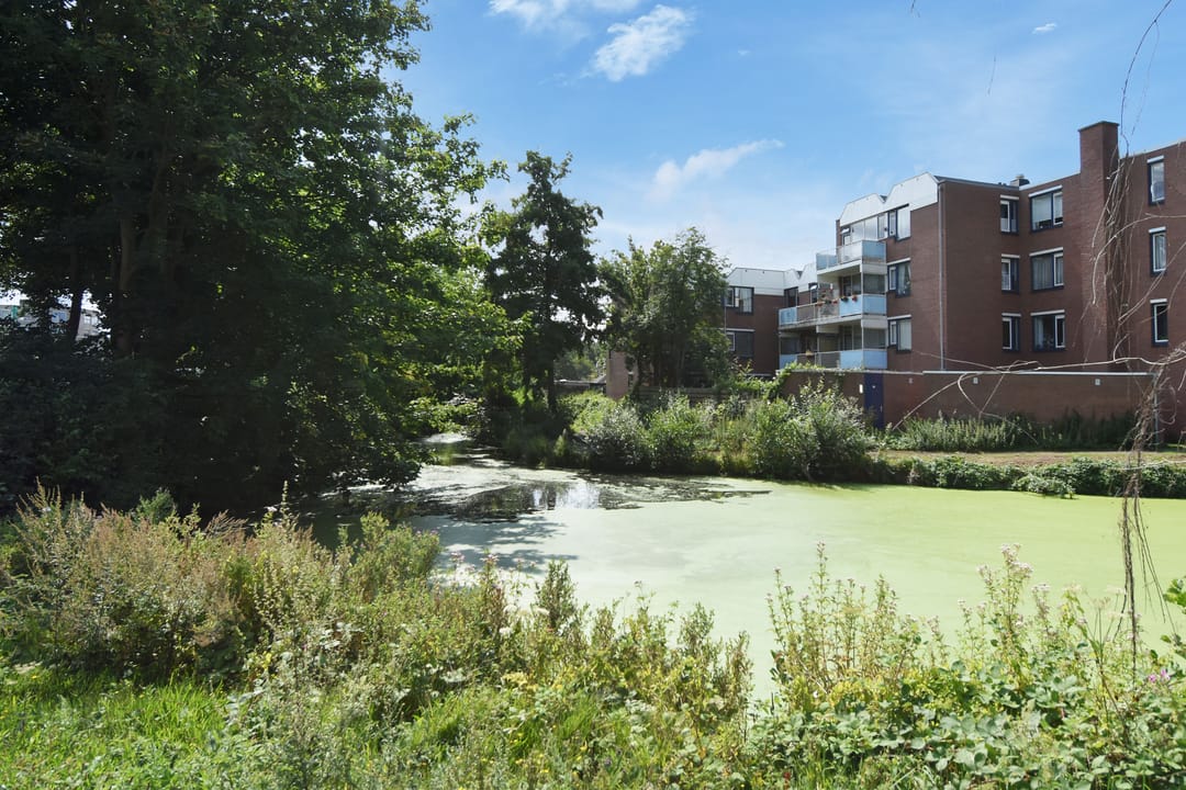 Foto 43 van Mozartlaan 23