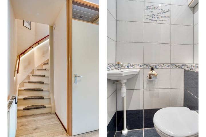 Foto 6 van Pijpbloem 7