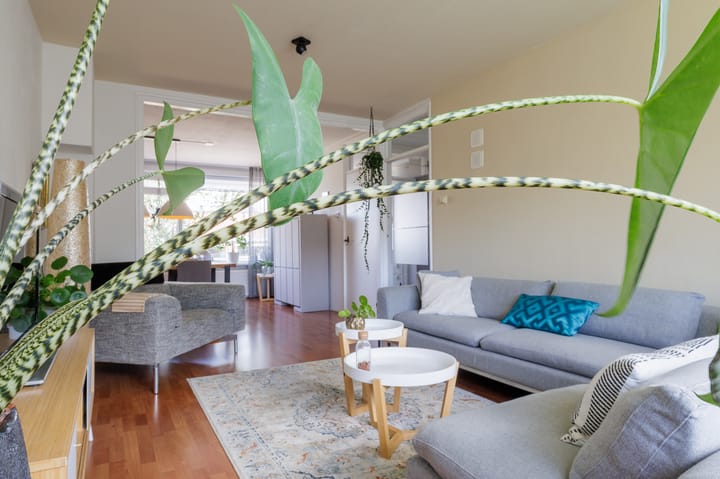 Foto 25 van Bezettingslaan 44