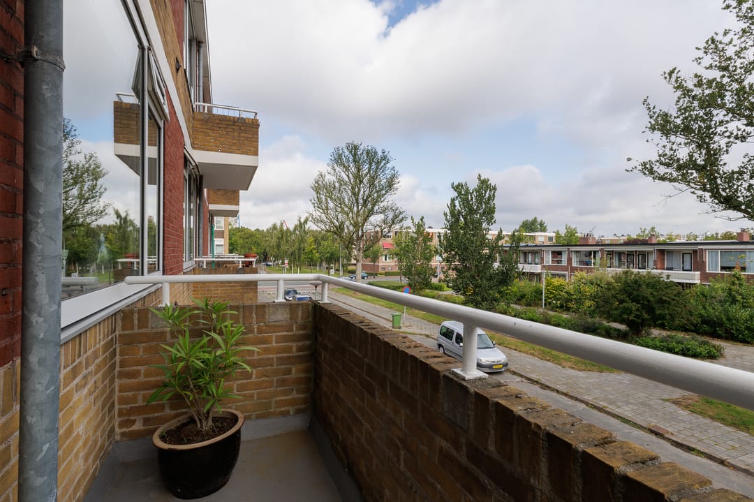 Foto 38 van Bezettingslaan 44