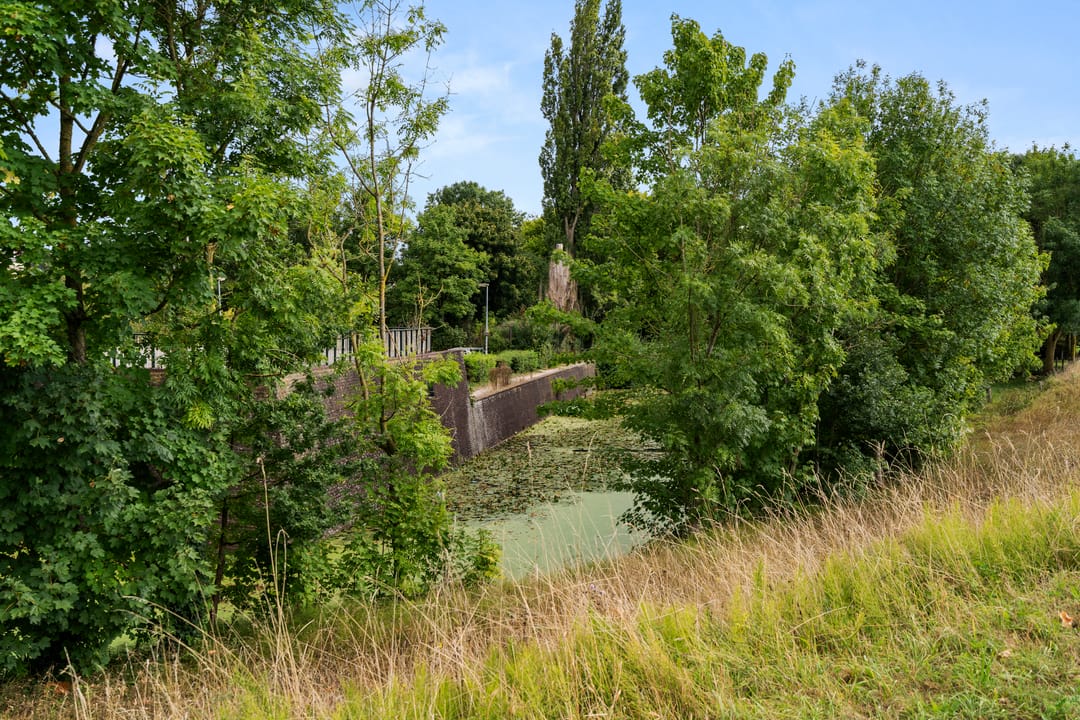 Foto 8 van Niemeijerstraat 12