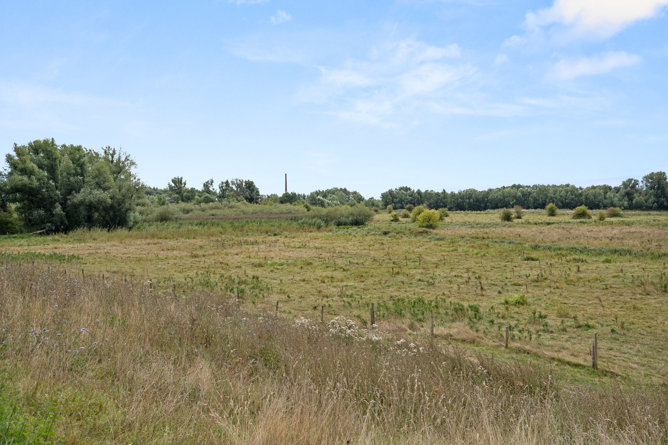 Foto 9 van Niemeijerstraat 12