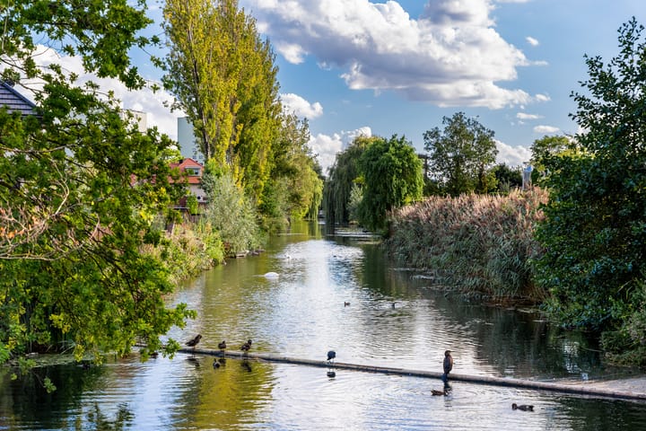 Foto 38 van Arie de Zeeuwstraat 45