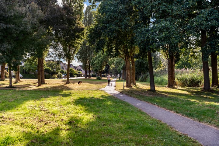 Foto 40 van Arie de Zeeuwstraat 45