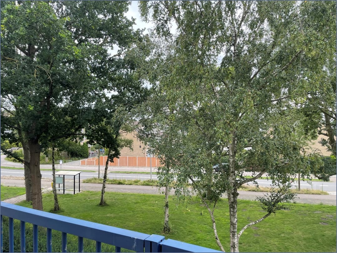 Foto 16 van Lauwers 68