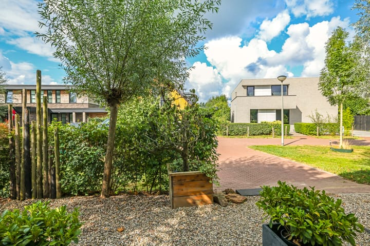 Photo 15 of Noordereiland 12