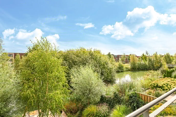 Photo 53 of Noordereiland 12