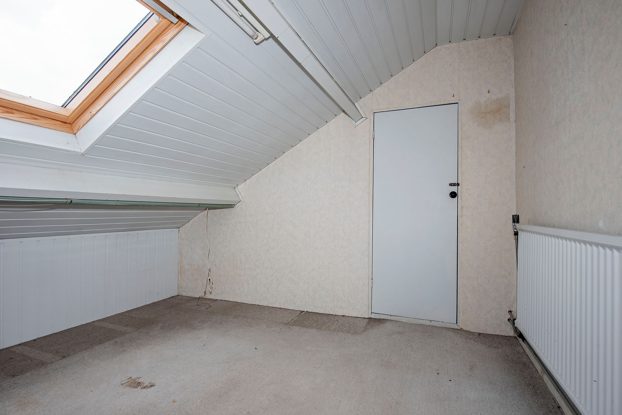 Foto 21 van Visscherij 3