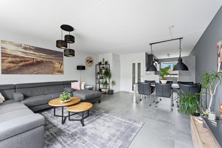 Foto 3 van Salamander 17