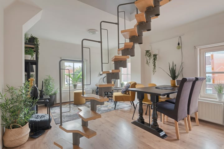 Foto 9 van Doelenstraat 19