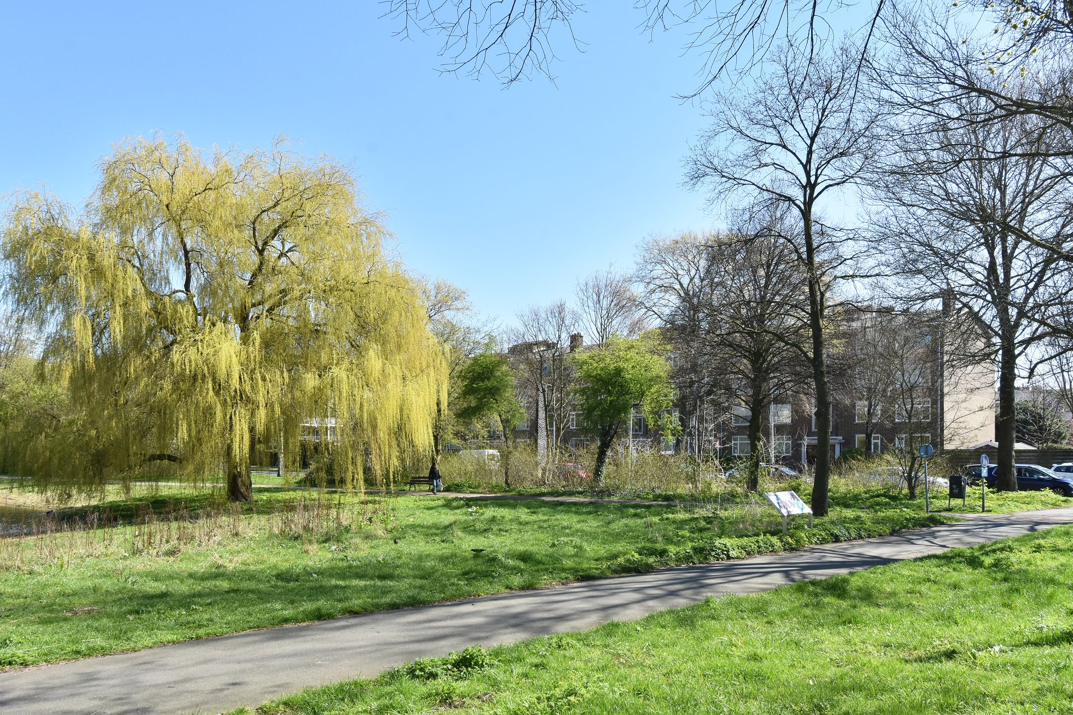 Foto 42 van Segbroeklaan 410-D