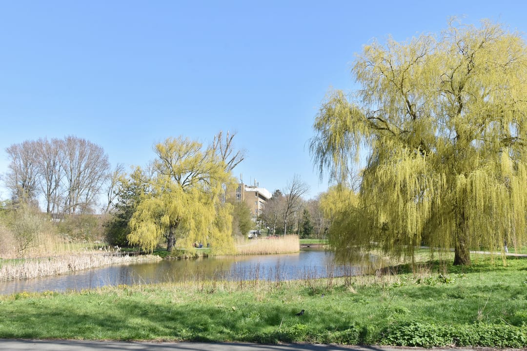 Foto 43 van Segbroeklaan 410-D