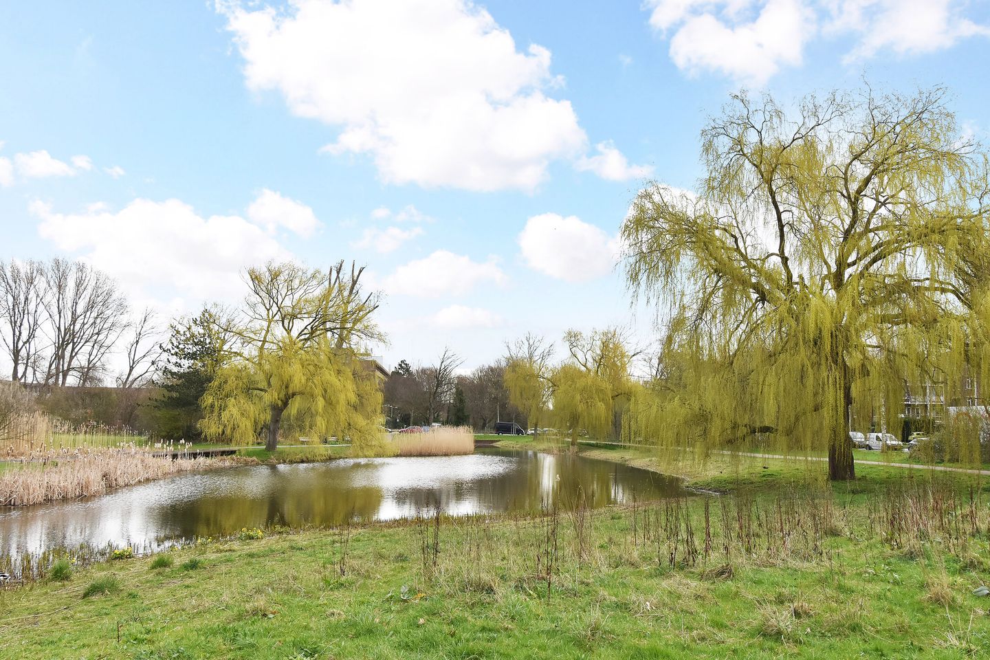 Foto 44 van Segbroeklaan 410-D