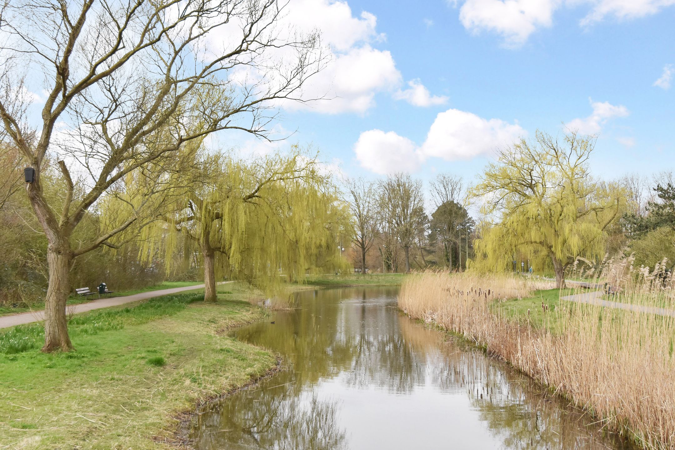 Foto 45 van Segbroeklaan 410-D