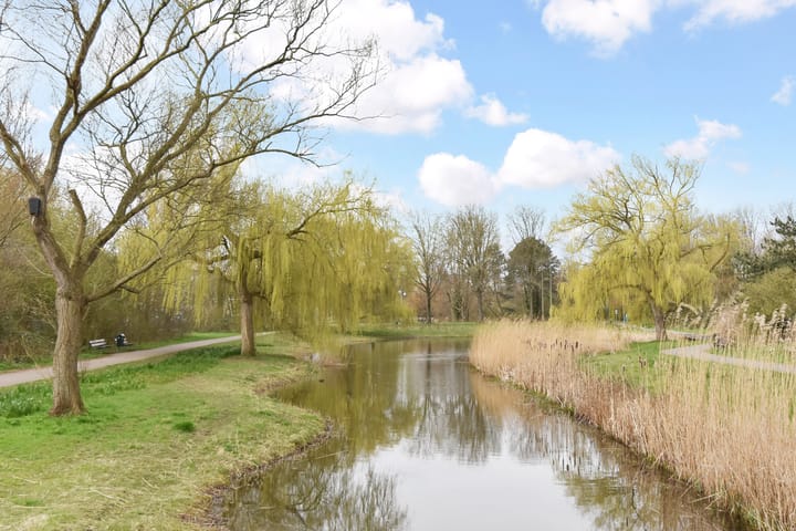 Foto 45 van Segbroeklaan 410-D