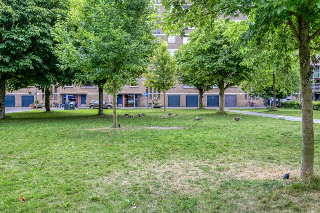 Foto 32 van Philip Vingboonsstraat 155