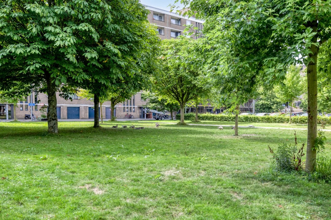 Foto 31 van Philip Vingboonsstraat 155