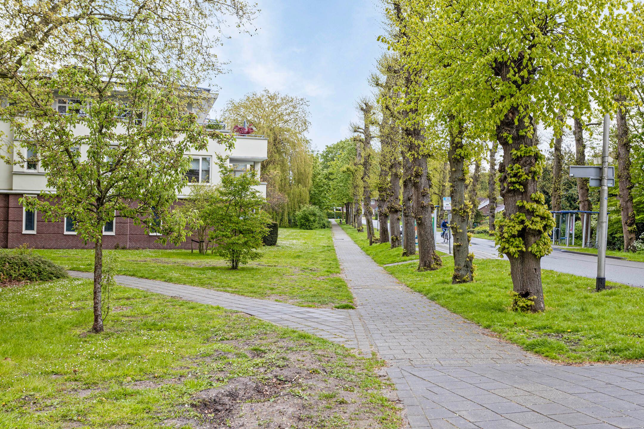 Foto 33 van Meestersplein 18