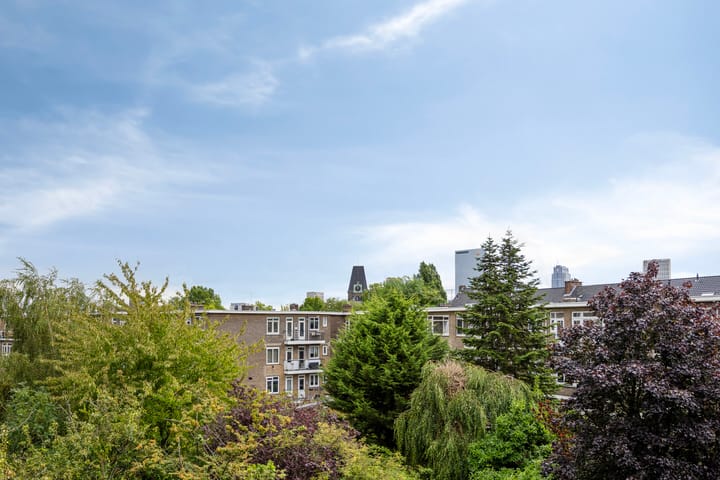 Foto 21 van Van Houtenstraat 22-D