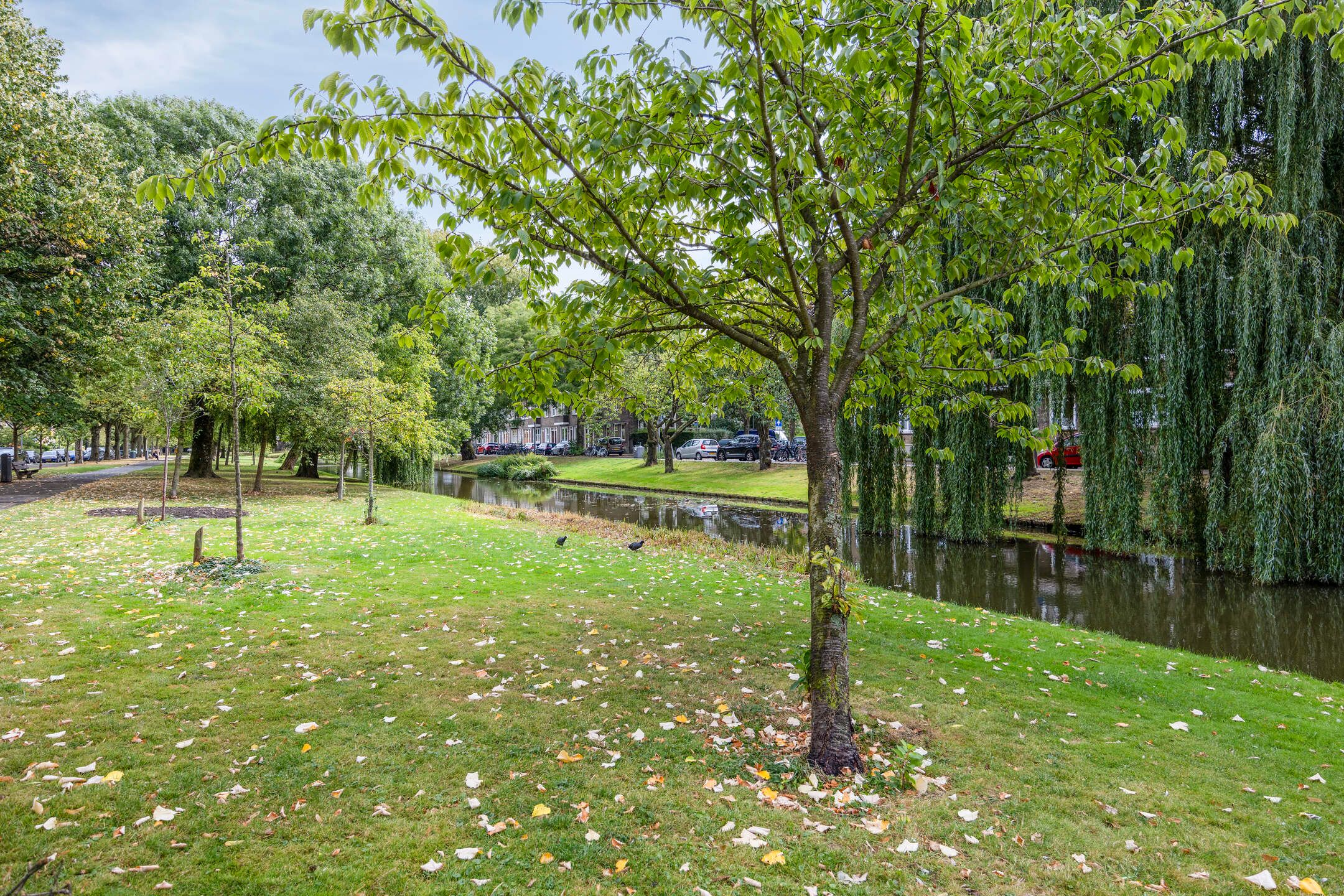 Foto 24 van Van Houtenstraat 22-D