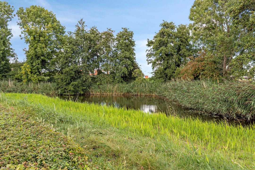 Foto 31 van Speenkruidstraat 46