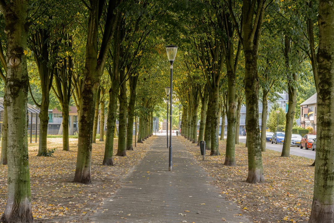 Foto 52 van Duindoornstraat 97-A