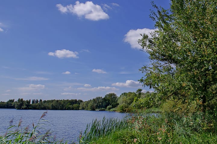 Foto 17 van Sloterweg 992