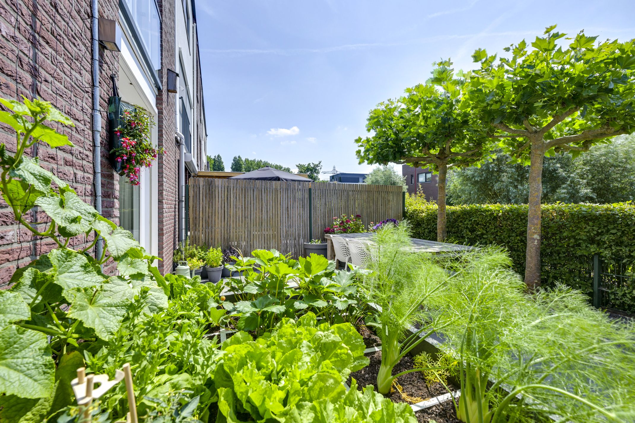 Foto 18 van Polderhoeve 36