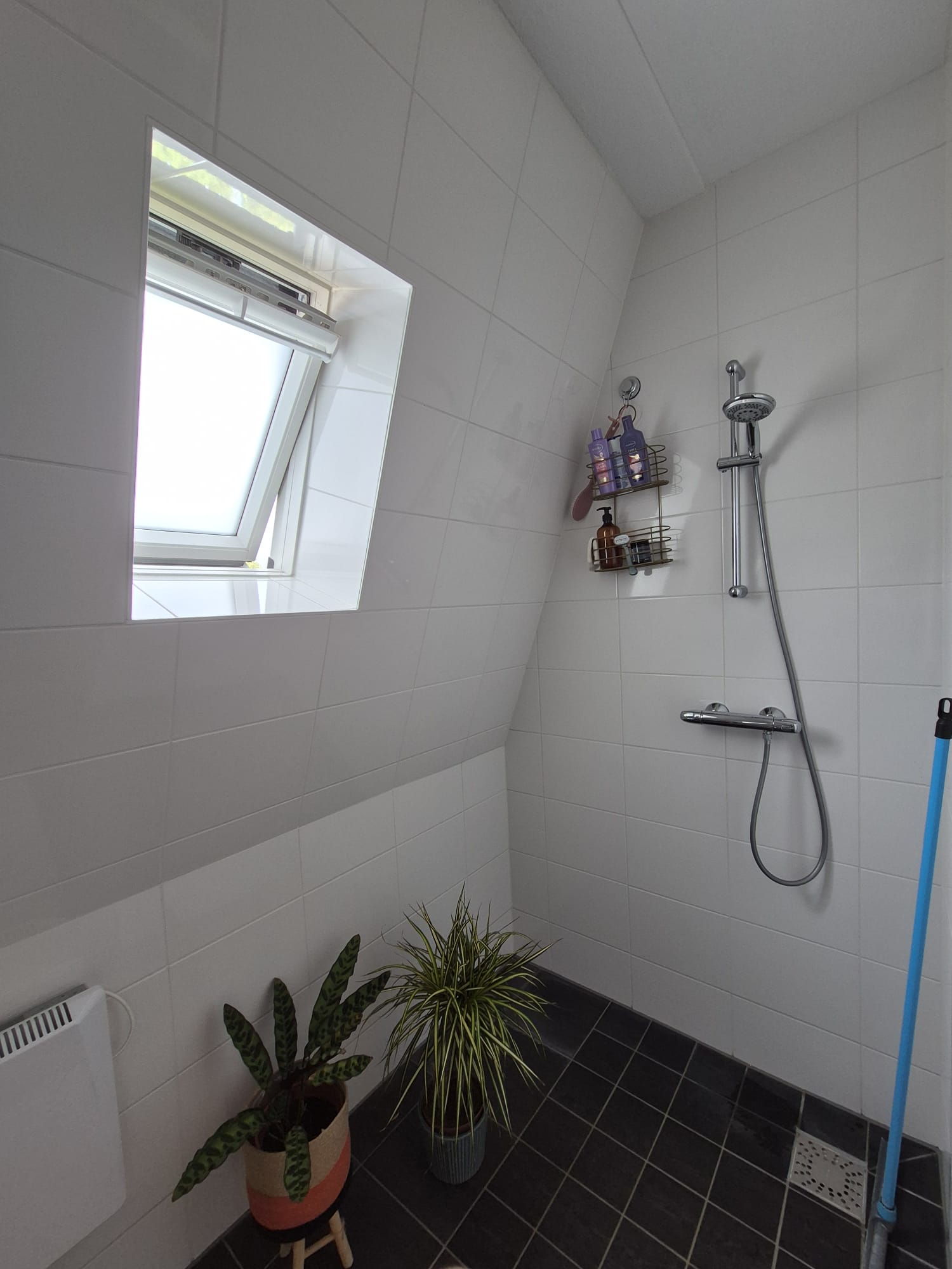 Foto 6 van Lindenlaan 1-C5