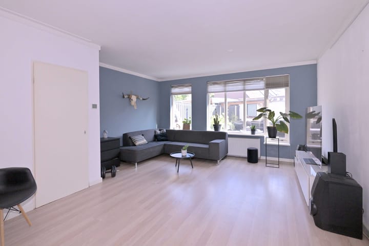 Foto 4 van Kwikstaart 2