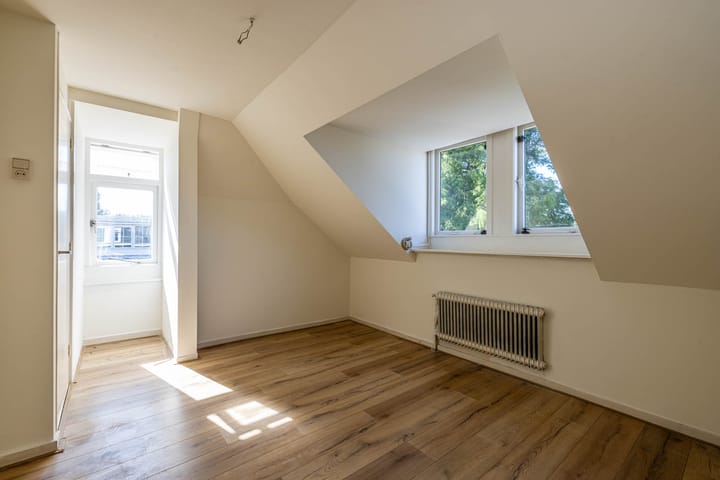 Foto 4 van Frans Halssingel 11