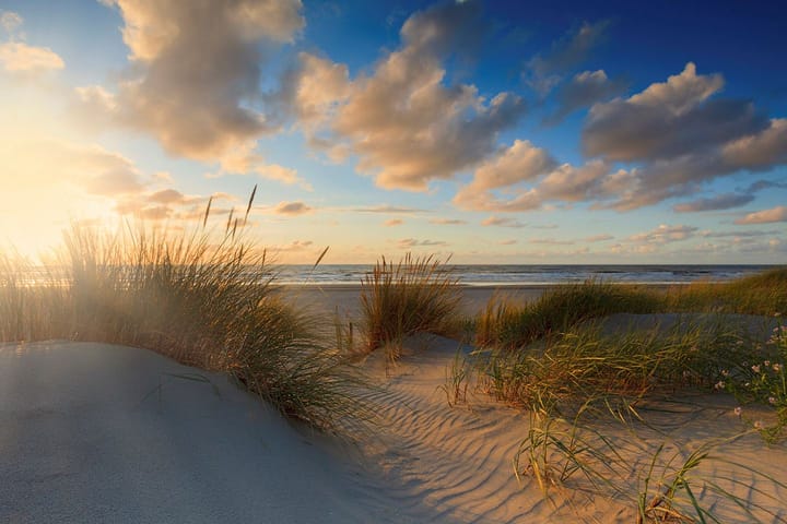 Photo 46 of Van Beverningkstraat 99-D