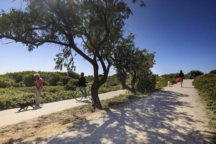 Photo 48 of Van Beverningkstraat 99-D