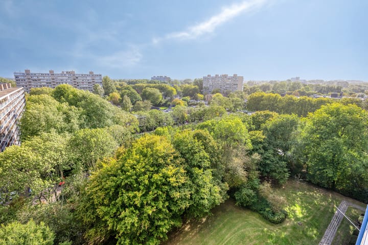 Foto 23 van Menno ter Braaklaan 165