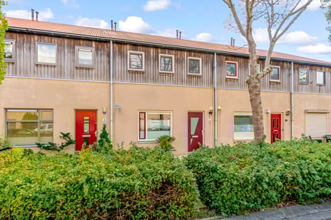 undefined main image