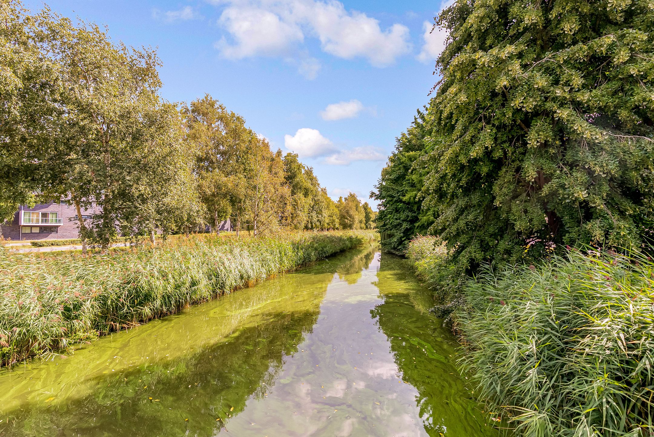 Foto 33 van Habanerastraat 6