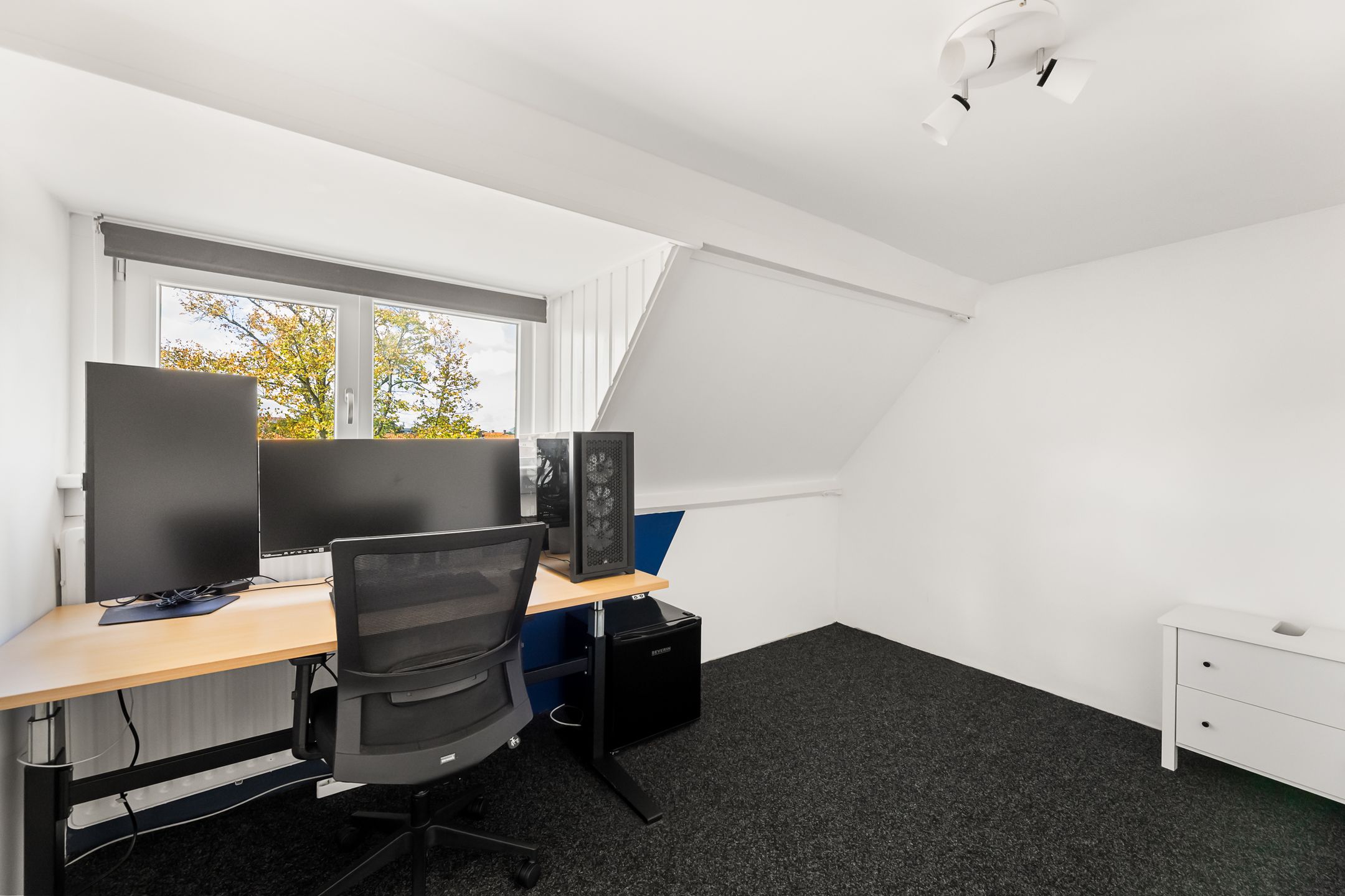 Foto 27 van Anjelierenlaan 47